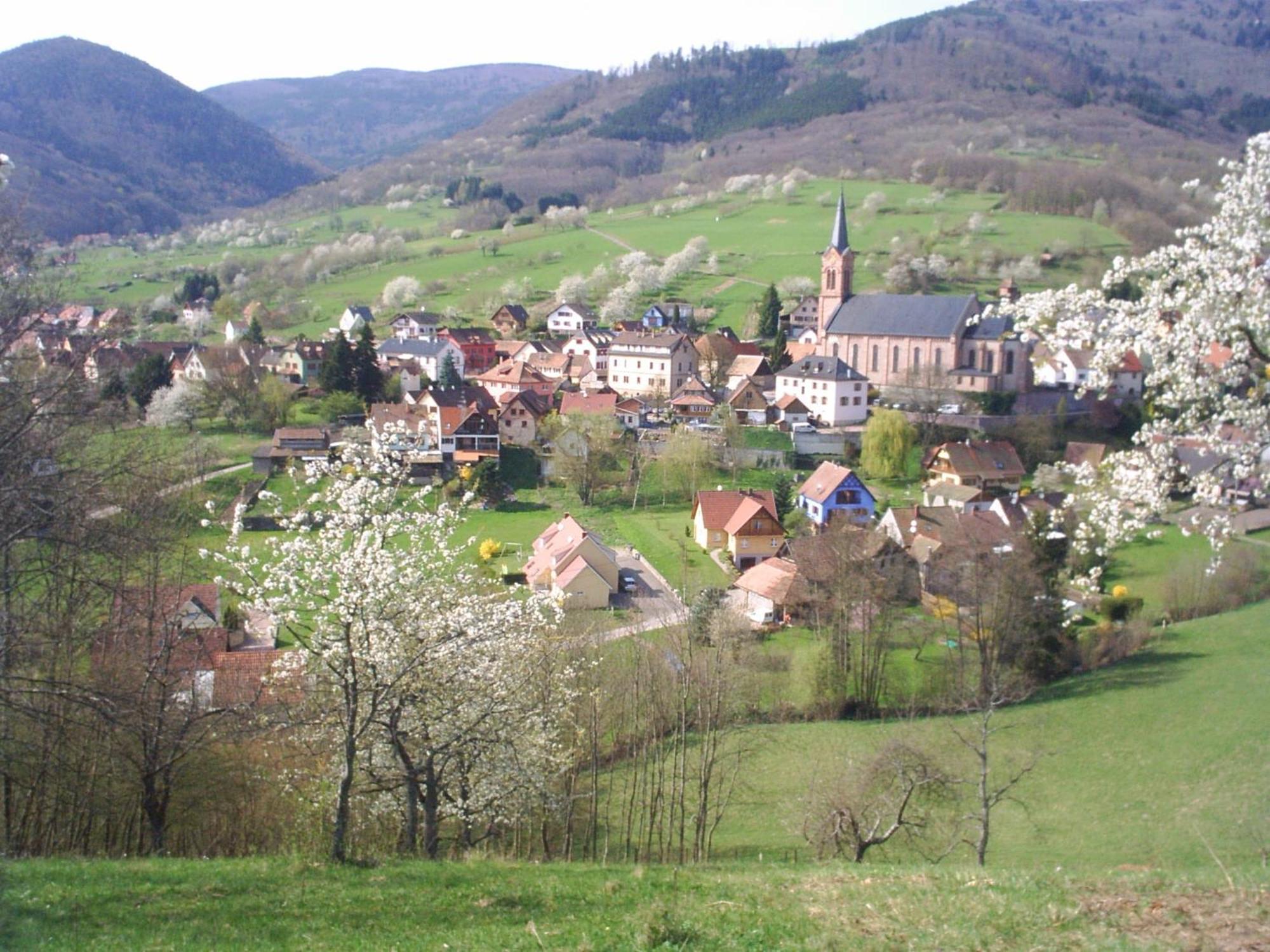 Gite Bellevue Breitenbach المظهر الخارجي الصورة