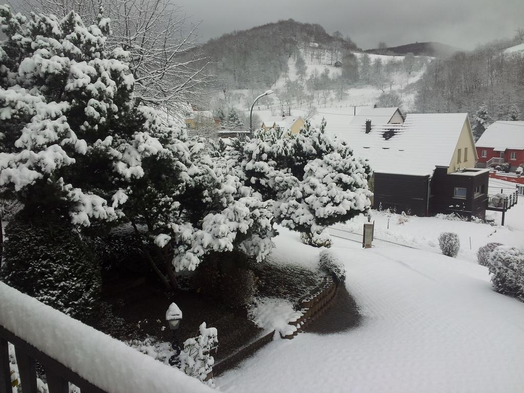 Gite Bellevue Breitenbach الغرفة الصورة